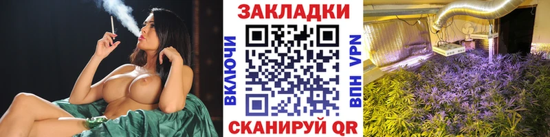 Где продают наркотики Солнечногорск Псилоцибиновые грибы  APVP  МЕФ  ГАШ  МАРИХУАНА  Cocaine 